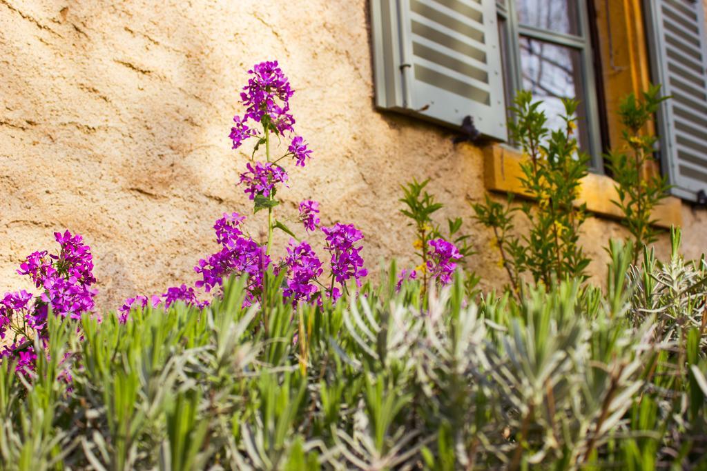 Aux Ronzieres Bed & Breakfast Pouilly-sous-Charlieu Room photo